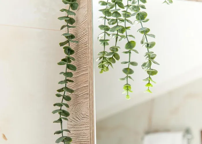 Villa Dream Holidays Nikiti (Sithonia)